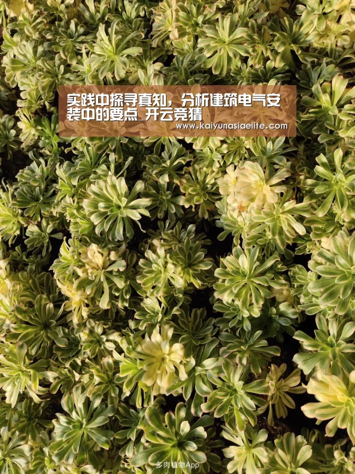 实践中探寻真知,分析建筑电气安装中的要点_开云竞猜(图1) 开云篮球
