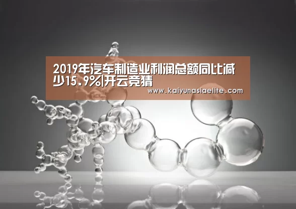 2019年汽车制造业利润总额同比减少15.9%|开云竞猜(图2) 开云直播