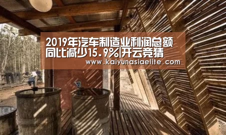 2019年汽车制造业利润总额同比减少15.9%|开云竞猜(图1) 开云竞猜