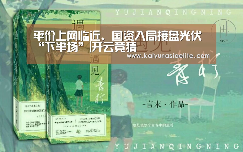 平价上网临近、国资入局接盘光伏“下半场”|开云竞猜(图1) 开云篮球