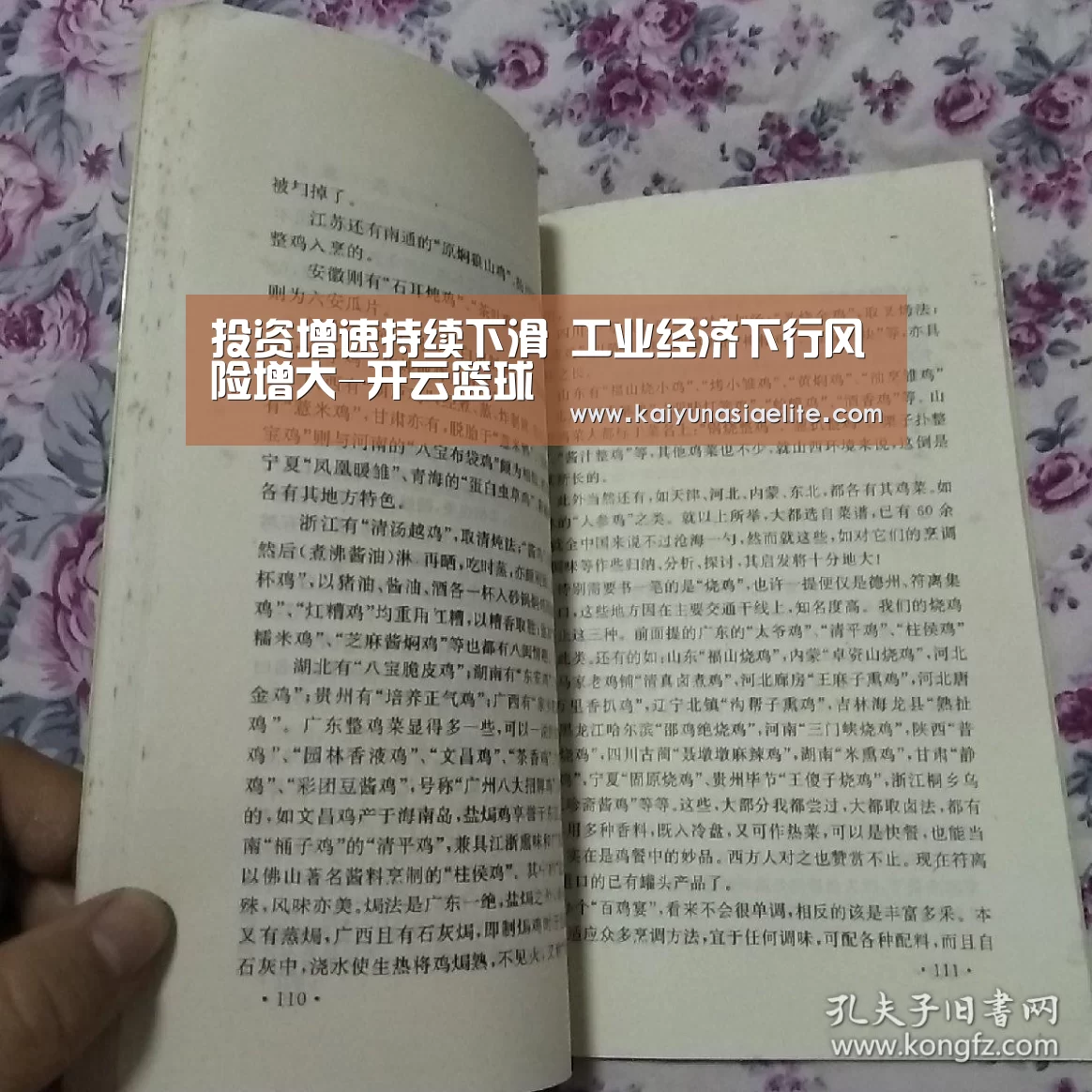 投资增速持续下滑 工业经济下行风险增大-开云篮球(图1) 开云直播