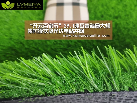 开云百家乐