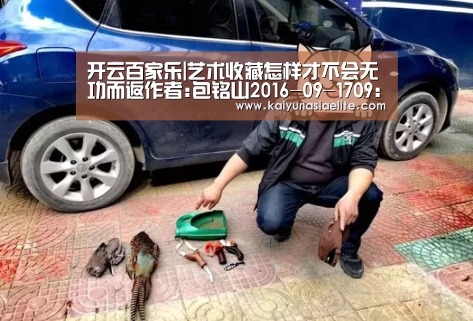 开云竞猜