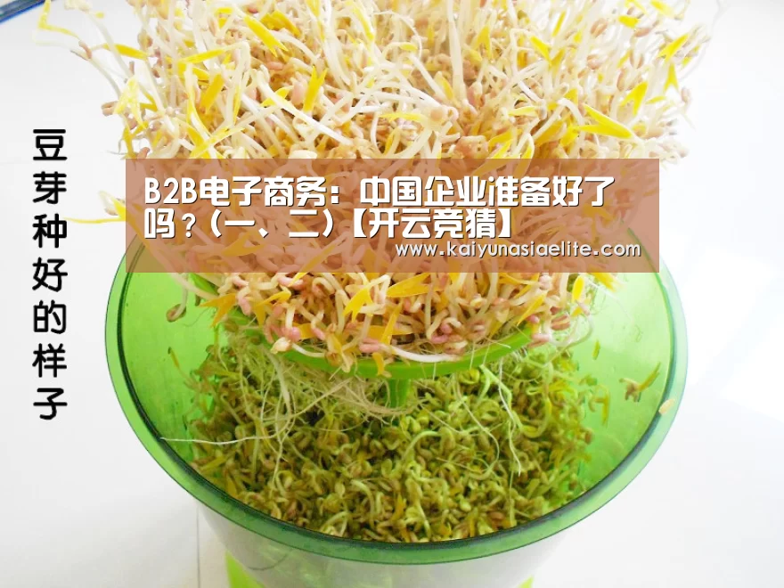 B2B电子商务:中国企业准备好了吗?(一、二)【开云竞猜】(图1) 开云篮球