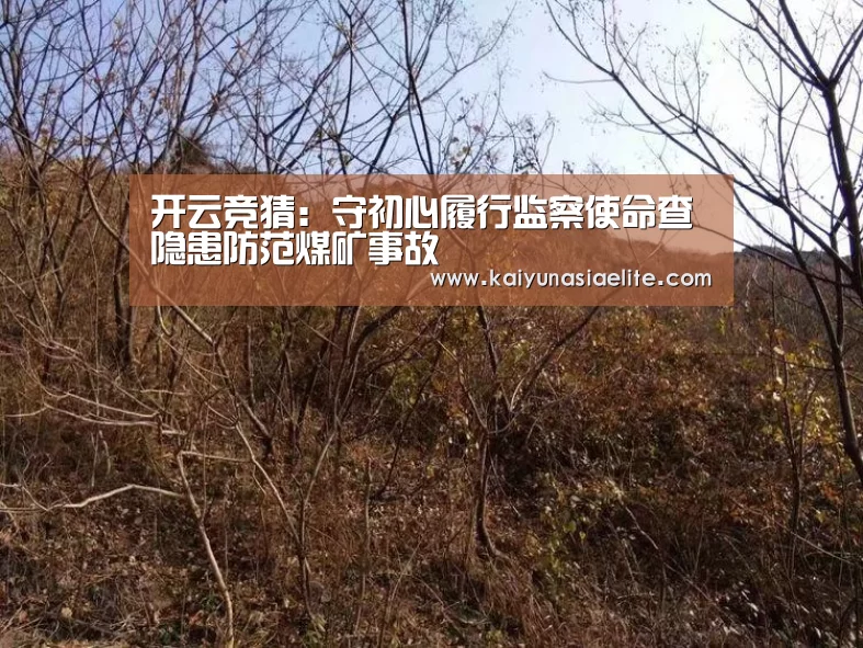 开云竞猜:守初心履行监察使命查隐患防范煤矿事故(图4) 开云篮球