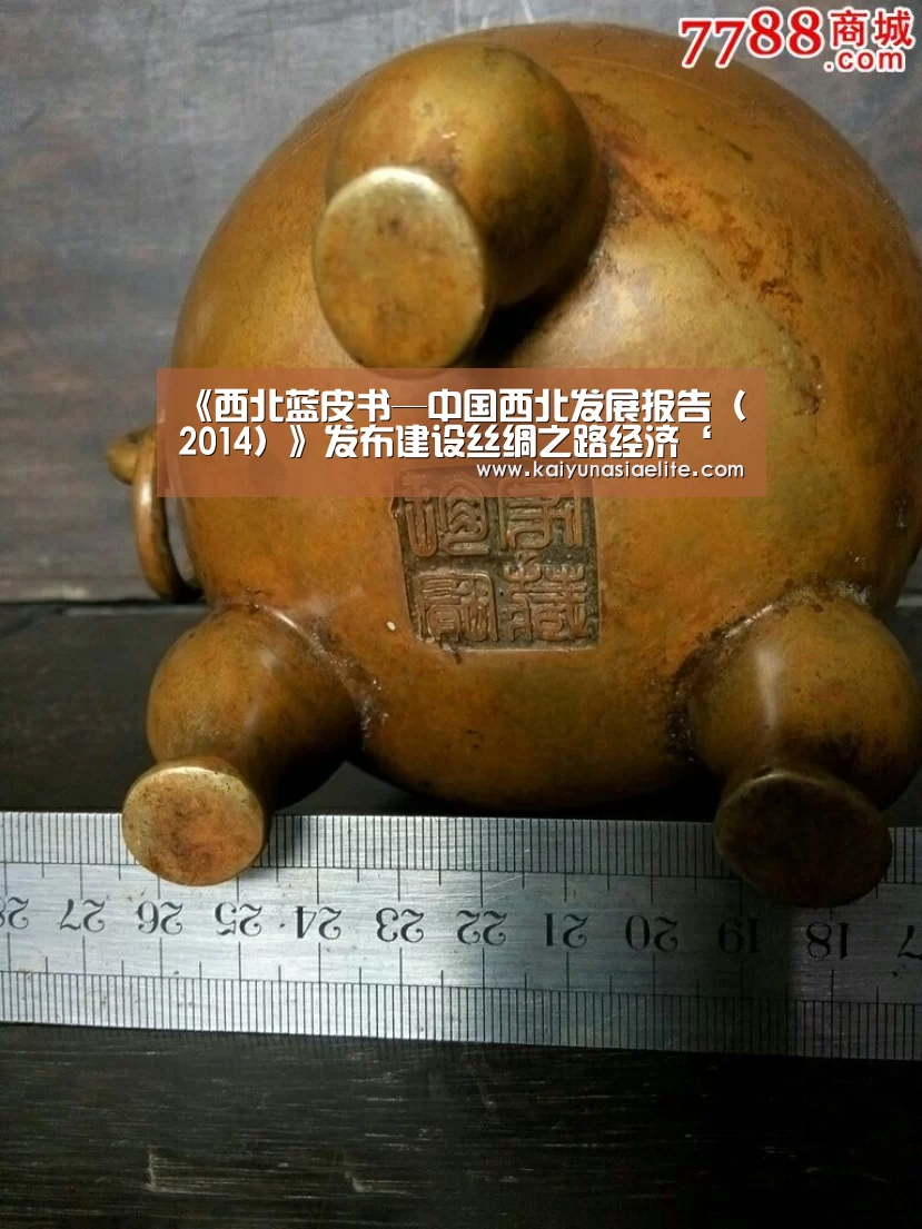 《西北蓝皮书—中国西北发展报告(2014)》发布建设丝绸之路经济‘开云竞猜’(图1) 开云篮球