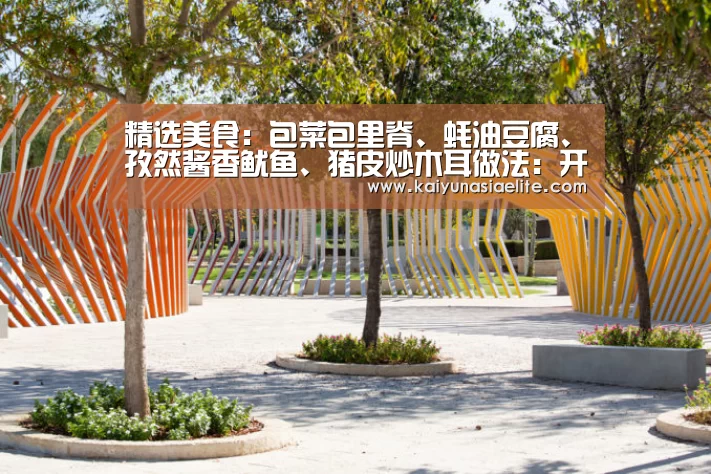 开云百家乐