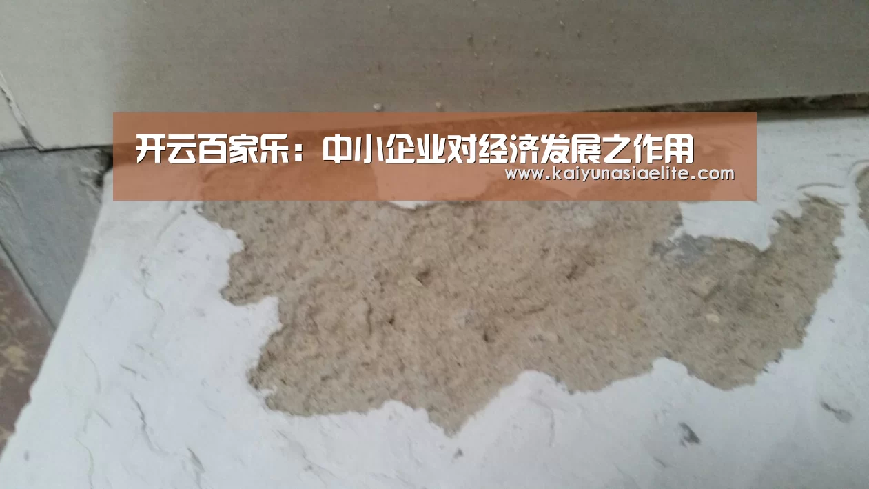 开云百家乐:中小企业对经济发展之作用(图1) 开云百家乐